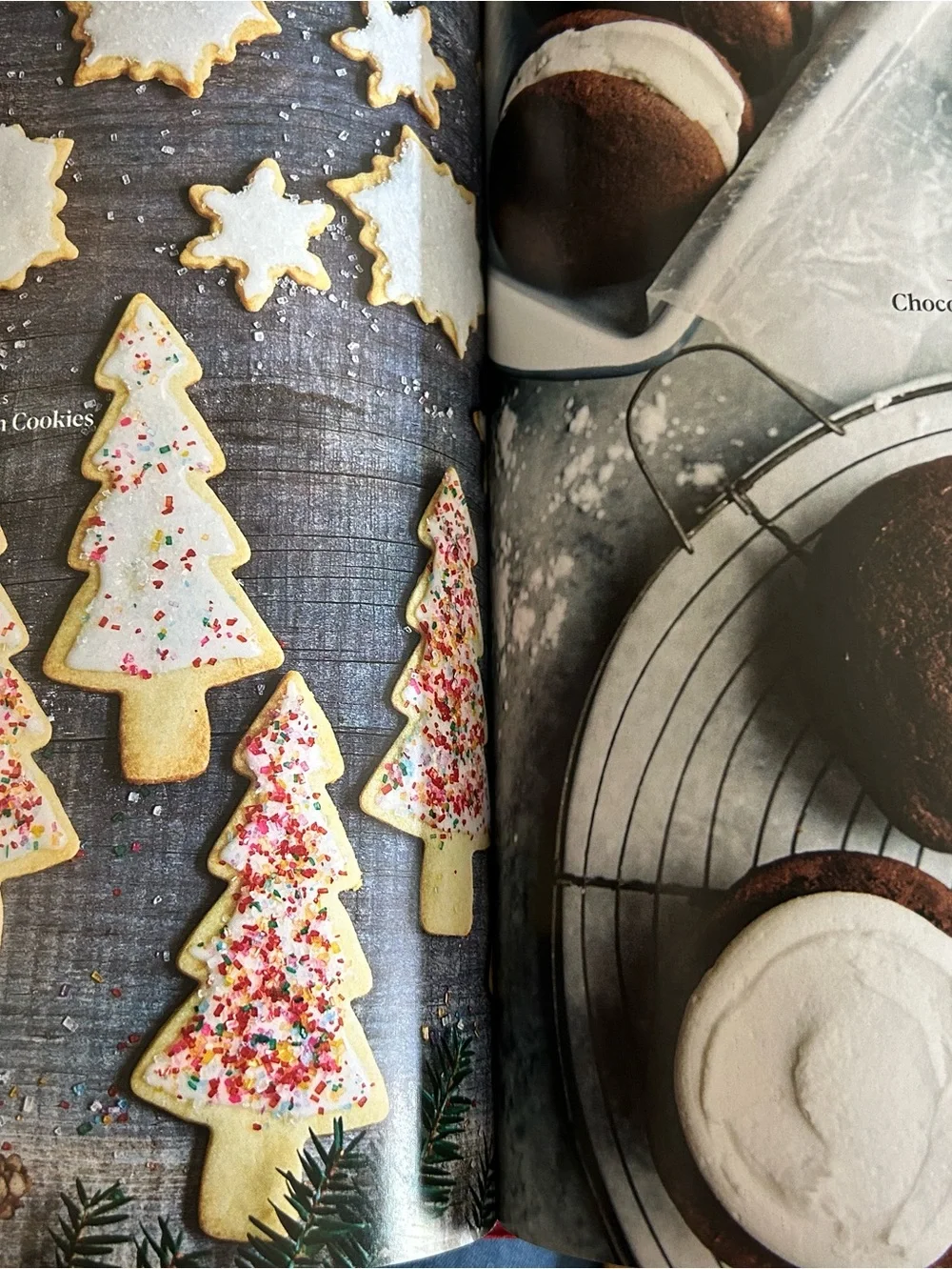 King Arthur Baking Company The Essential Cookie Companion - Revised and Updated